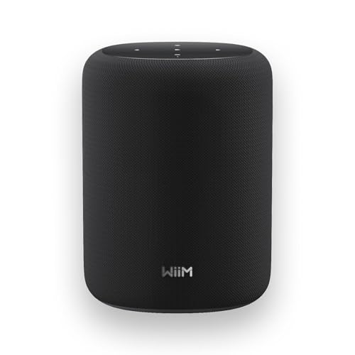 WiiM Sound Lite Smart Speaker, Hi‑Res 24‑bit/192 kHz, AI RoomFit™ Room Correction, 100W Peak, Wi‑Fi 6E/Bluetooth 5.3, Multi‑Room & Stereo Pairing, Black